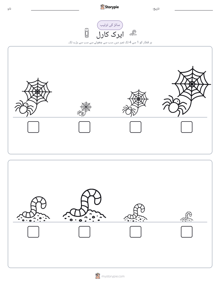 سائز کی ترتیب