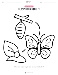 Metamorphosis printable worksheet preview