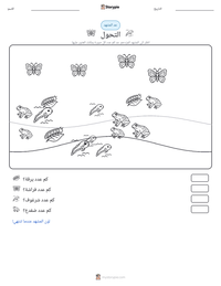 معاينة ورقة العمل القابلة للطباعة التحول