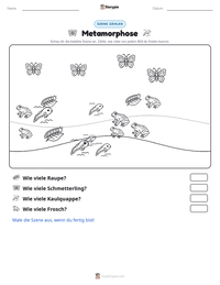 Metamorphose druckbare Arbeitsblatt Vorschau