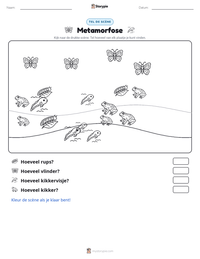 Metamorfose afdrukbare werkblad voorbeeld