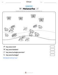 Metamorfoz yazdırılabilir çalışma sayfası önizlemesi