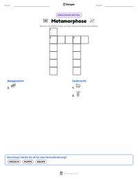 Metamorphose druckbare Arbeitsblatt Vorschau