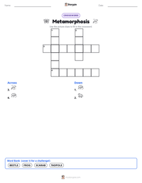 Metamorphosis printable worksheet preview