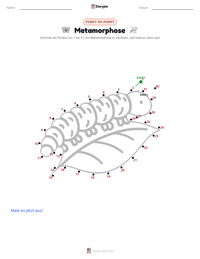 Metamorphose druckbare Arbeitsblatt Vorschau