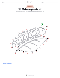Metamorphosis printable worksheet preview
