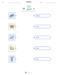 معاينة ورقة العمل القابلة للطباعة التحول