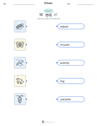 변태 인쇄 가능한 워크시트 미리보기
