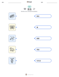 变态 可打印工作表预览