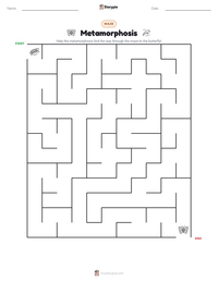Metamorphosis printable worksheet preview