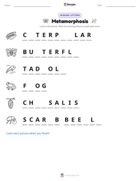 Metamorphosis printable worksheet preview