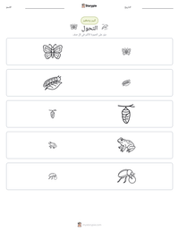معاينة ورقة العمل القابلة للطباعة التحول