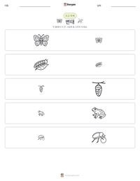 변태 인쇄 가능한 워크시트 미리보기