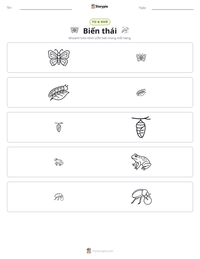 Xem trước tài liệu in sẵn Biến thái
