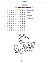 Metamorphose druckbare Arbeitsblatt Vorschau