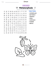 Metamorphosis printable worksheet preview