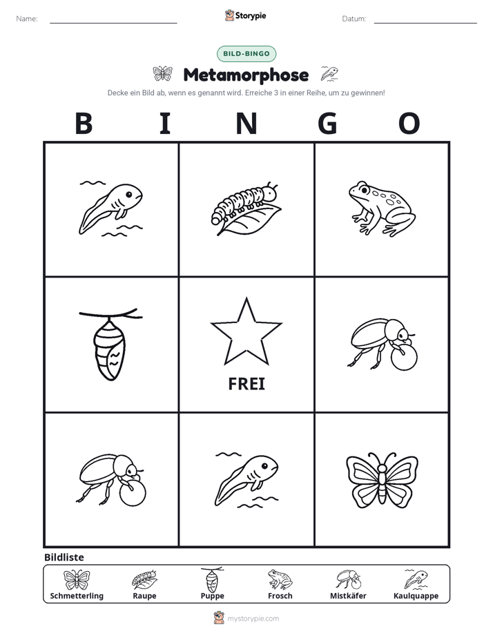 Bild-Bingo