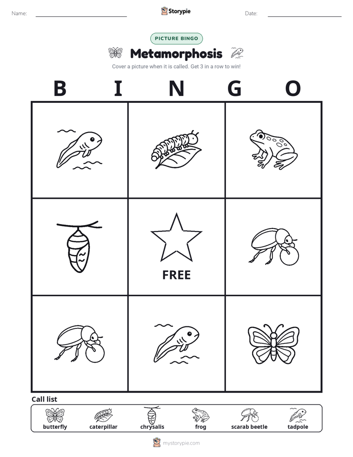 Picture Bingo
