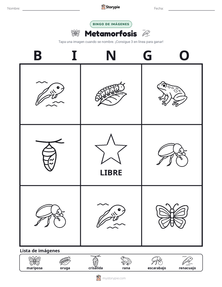 Bingo de Imágenes