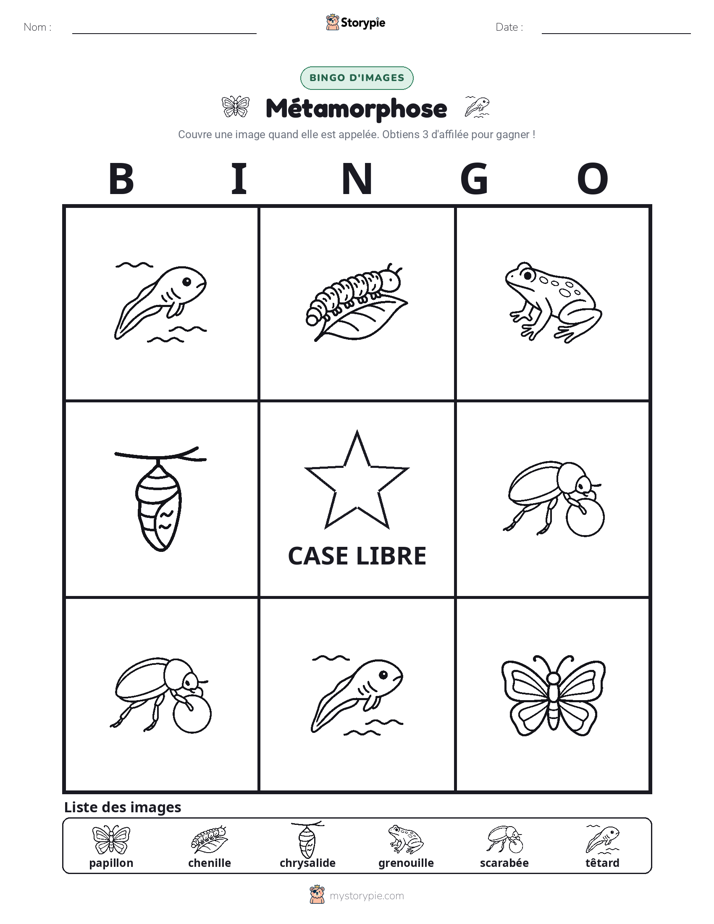 Bingo d'Images