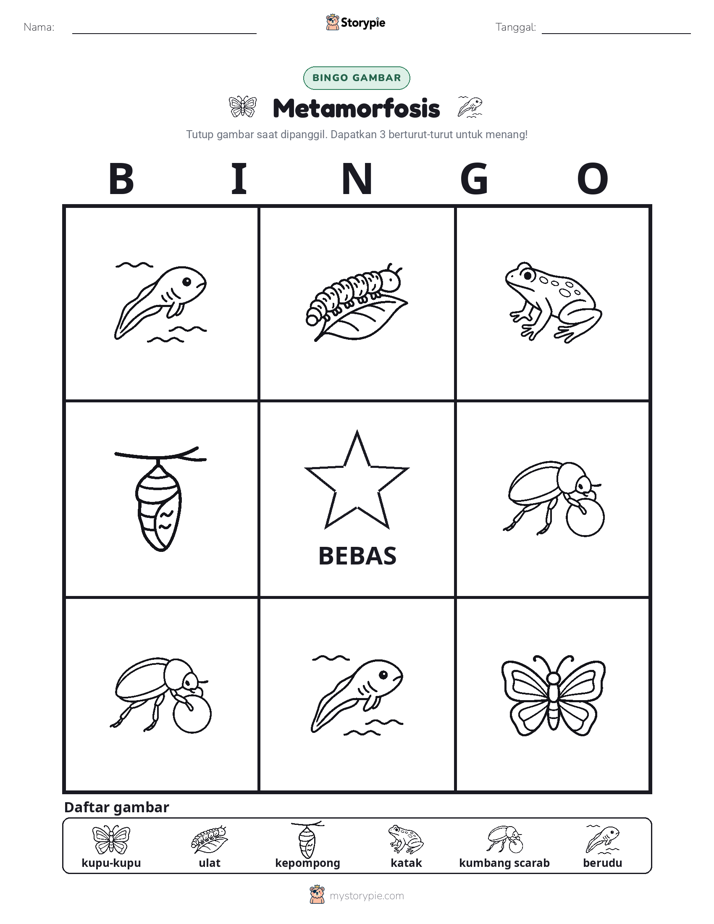 Bingo Gambar