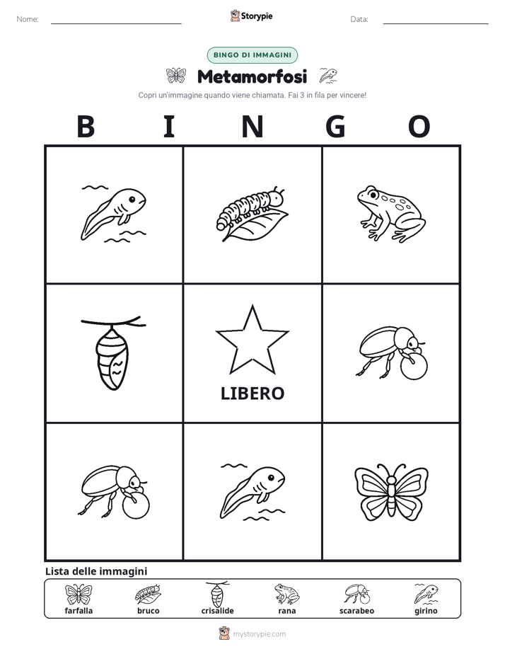 Bingo delle Immagini