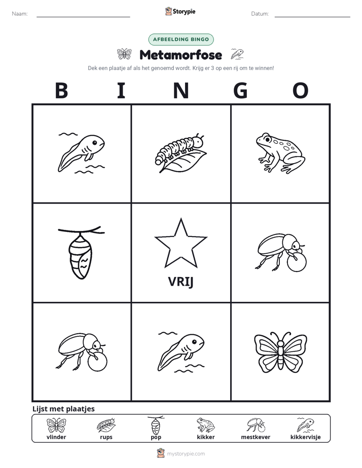 Afbeelding Bingo