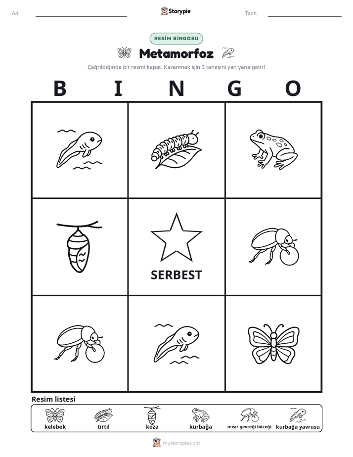 Resim Bingo