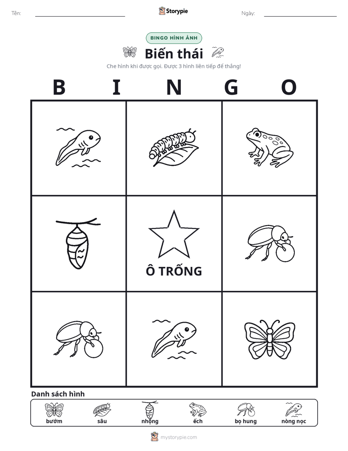 Bingo Hình Ảnh