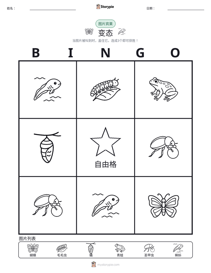 图片宾果