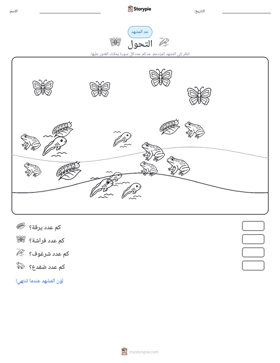مشهد العد