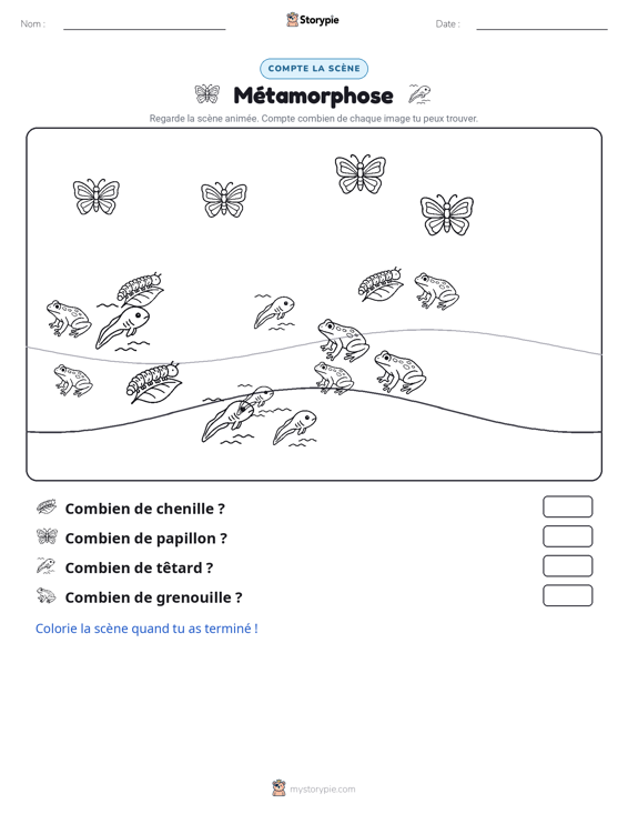 Scène de Comptage