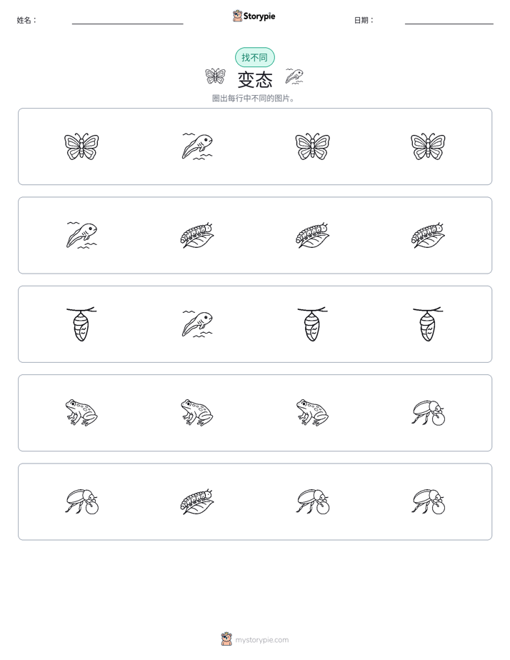 找不同