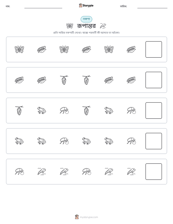 প্যাটার্ন