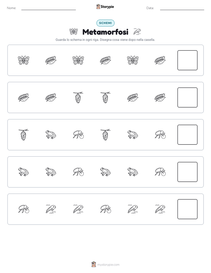 Pattern