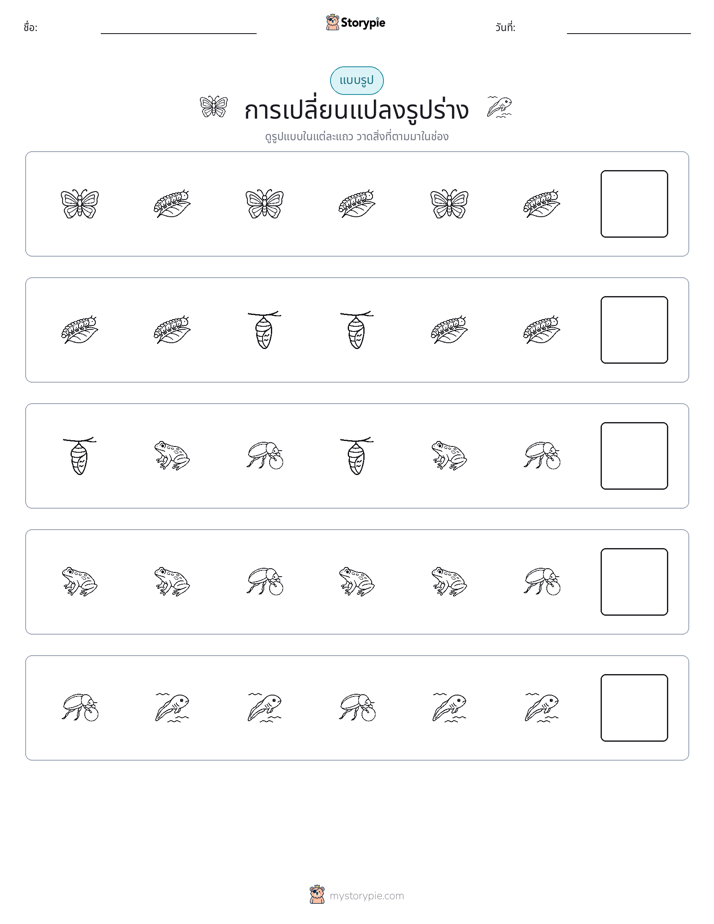 รูปแบบ
