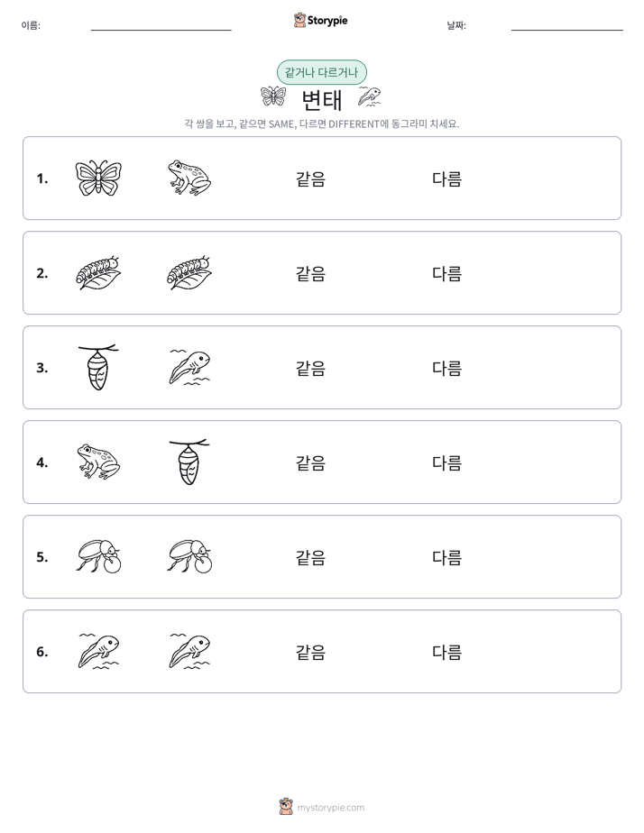 같은 것 또는 다른 것