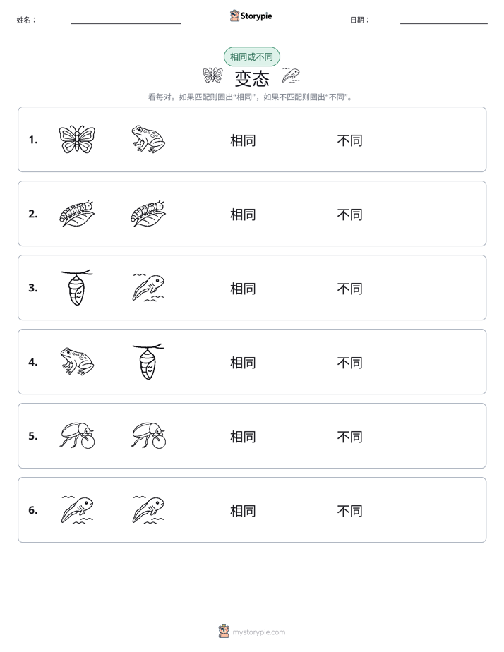 相同或不同