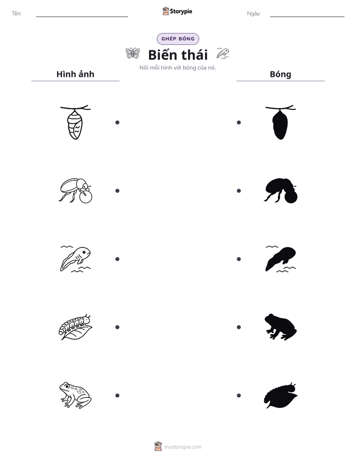 Ghép Hình Bóng