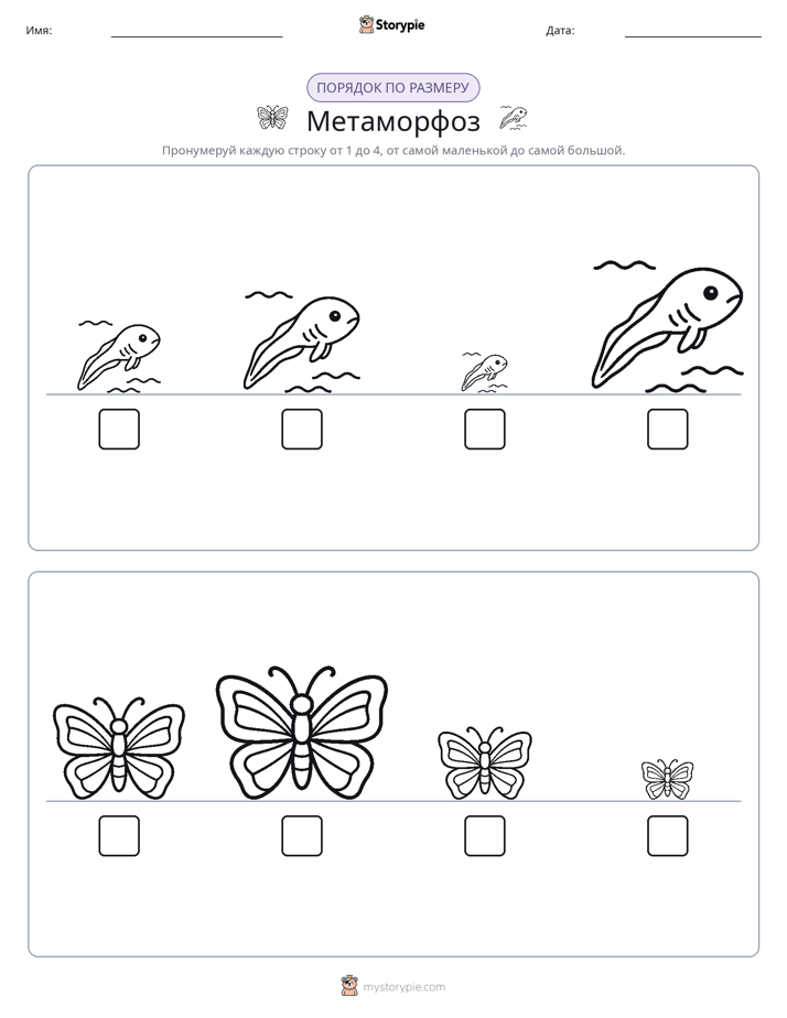 Размеры в порядке