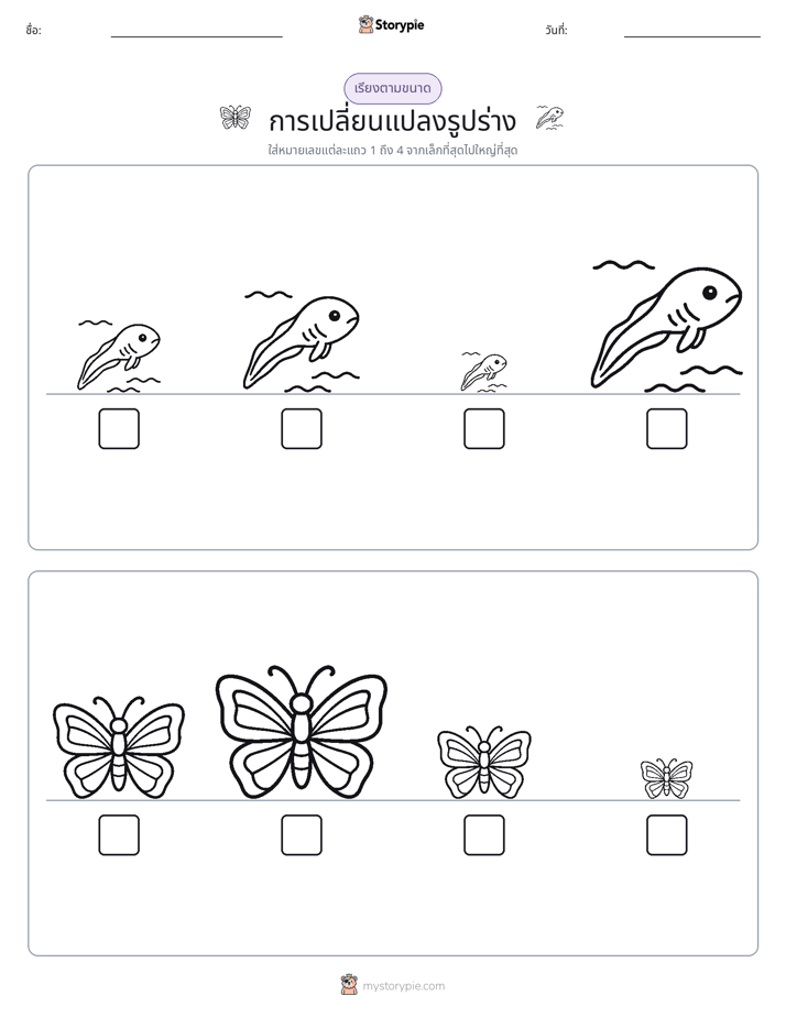 ลำดับขนาด