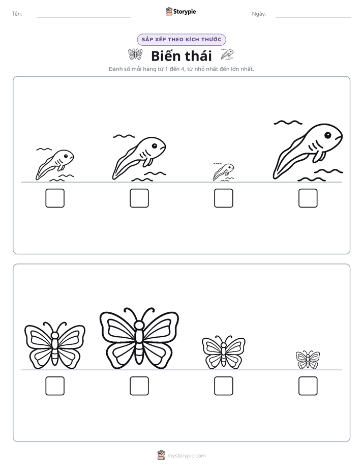 Thứ Tự Kích Thước