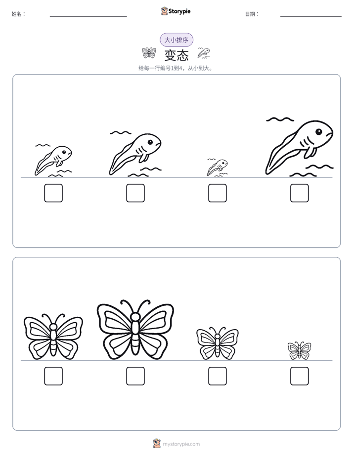 大小排序