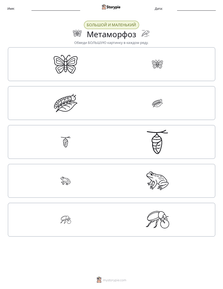 Сортировка