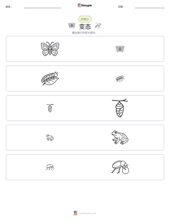 分类