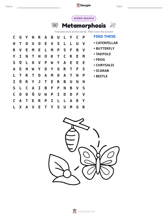 Word Search