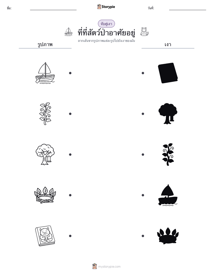 จับคู่เงา