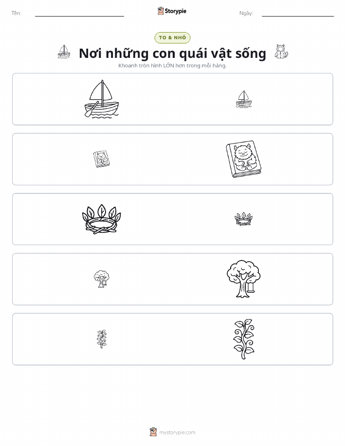 Phân Loại