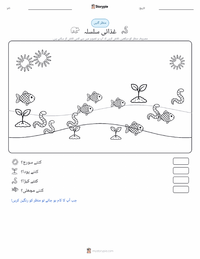 غذائی زنجیر پرنٹ کرنے کے قابل ورکشیٹ کا پیش نظارہ