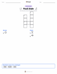 Food chain printable worksheet preview